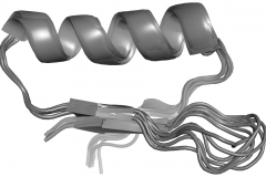 miniprotein